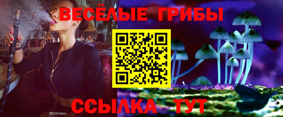 Галлюциногенные грибы Cubensis Магнитогорск