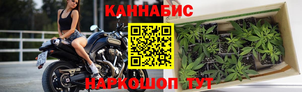 Каннабис сатива  Вход с VPN  Марихуана ГИДРОПОН  Канабис MAZAR  Магнитогорск 